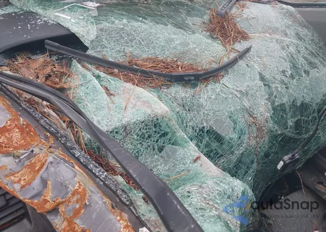 2009 Honda Civic Ex from USA, damaged, VIN 2HGFG12819H510916